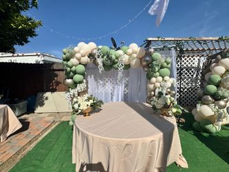 Balloon garland/with back drop