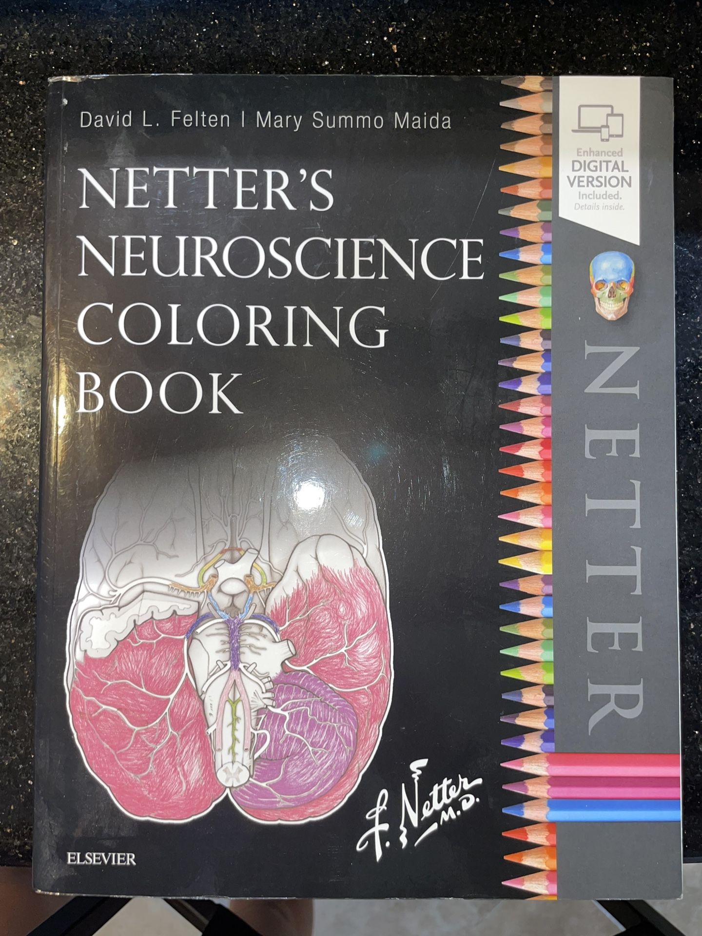 Netter’s Neuroscience Coloring Book