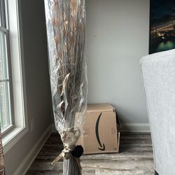 Dried Vase Sticks