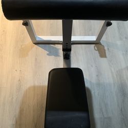 Preacher Curl Bench