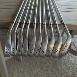 Lynx Golf Set