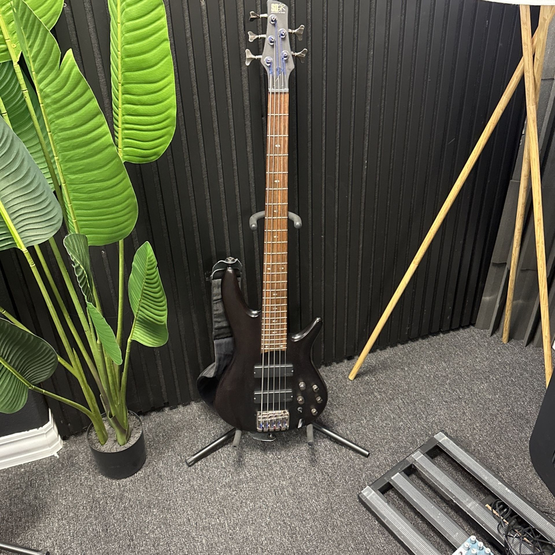 SDGR Ibanez 5 String Bass SR505T