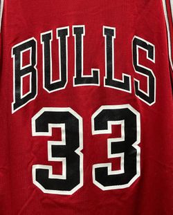 Vintage Champion Brand Chicago Bulls Scottie Pippen Reversible