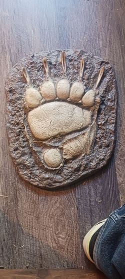 Bear Track made in Montana 1974 heavy d6