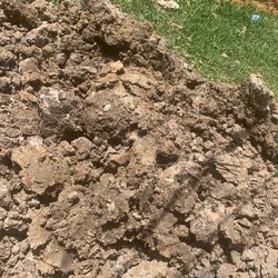 Free Dirt
