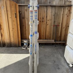 Werner Ladder Mt22