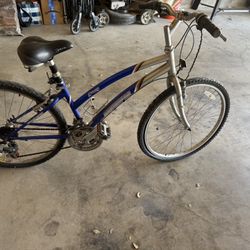 New Bike