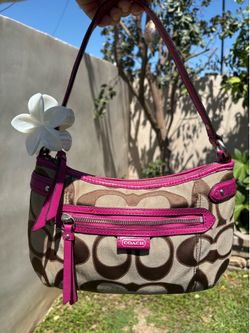 Pink and Brown Coach Bag