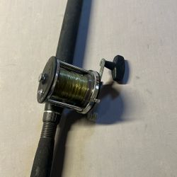 Fishing Pole And Reel 