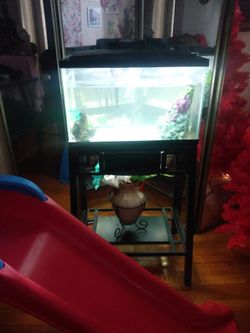 10 Gallon Fish Tank
