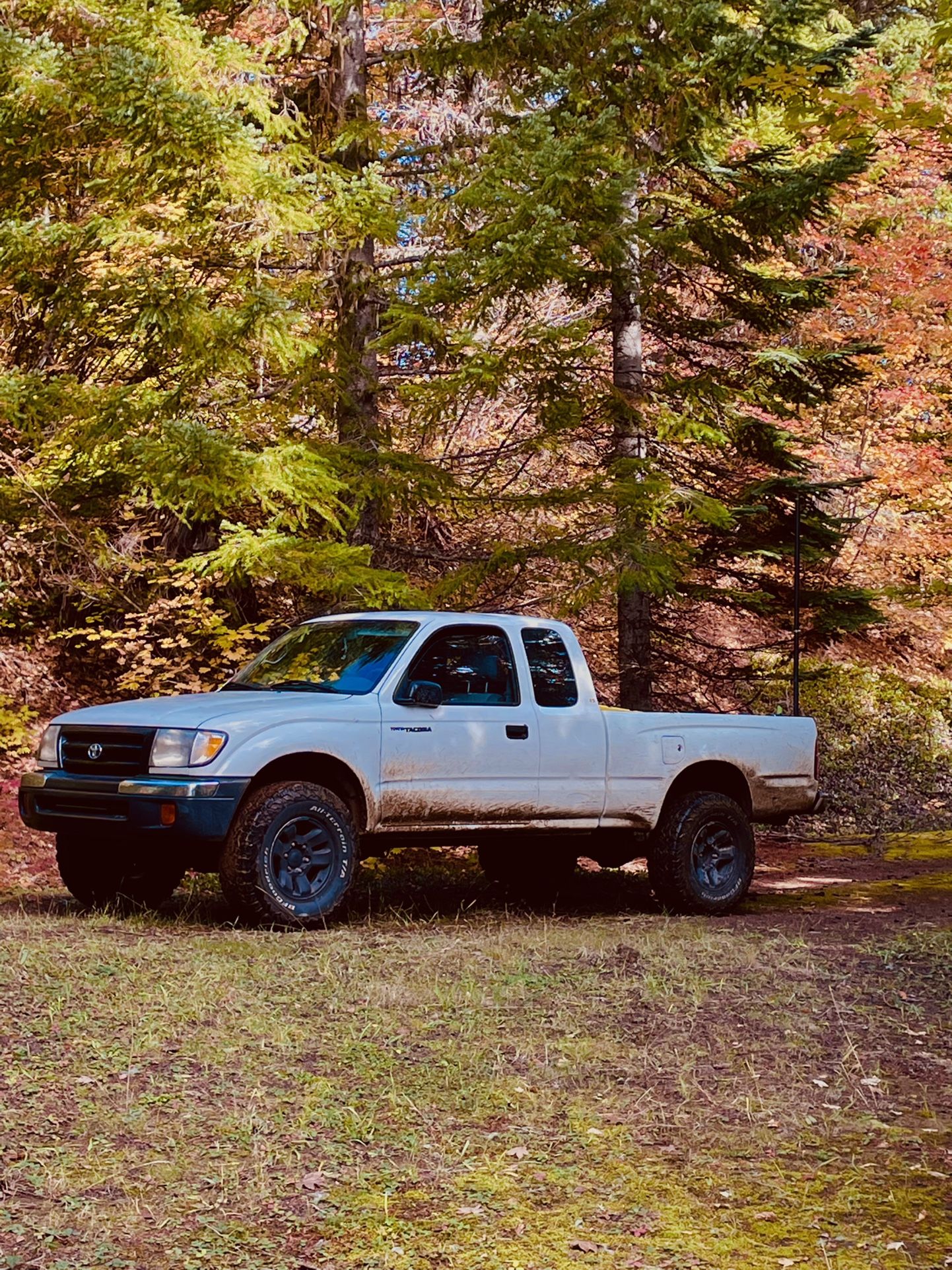 Extraordinary 1998 Toyota Tacoma 4 Wheel Drive Images