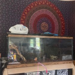 75 Gallon Tank 