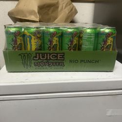 22 pack monster rio punch