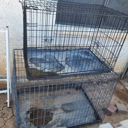 Dog Kennels 