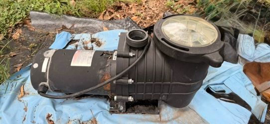 In ground/above ground pool pump