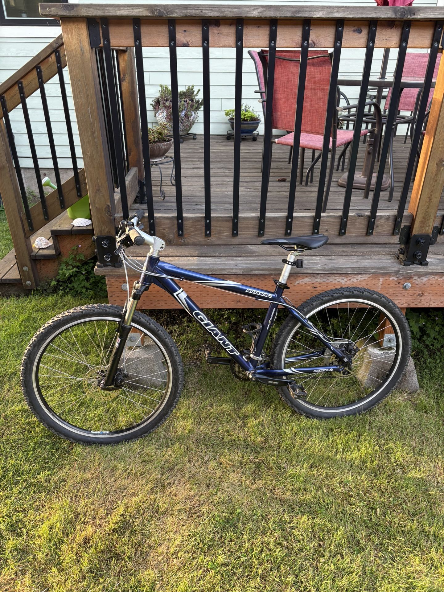 Bike- Giant Iguana
