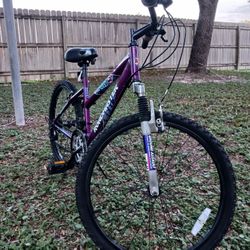 Bisicleta Rodada 24"