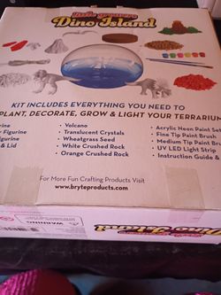 Dino Island Terrarium 