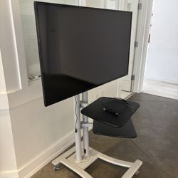 44 Inch Smart TV with Rolling Stand