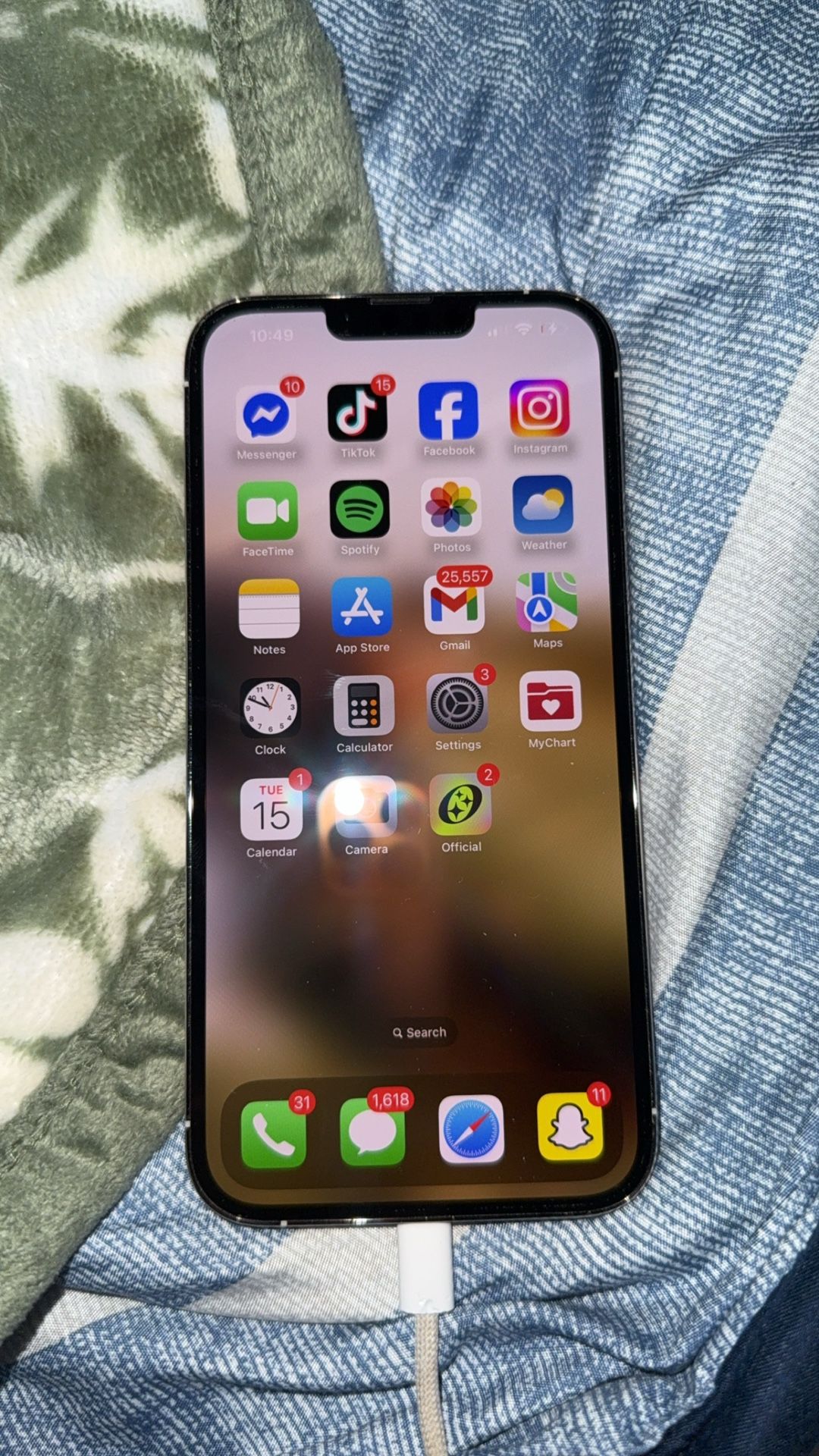 iPhone 13 Pro Max
