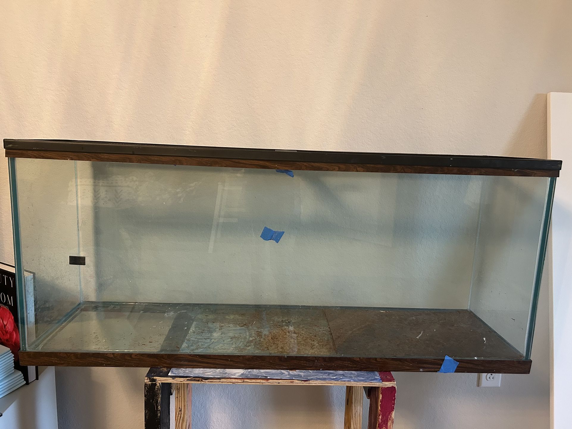 48”x12”18” Terrarium