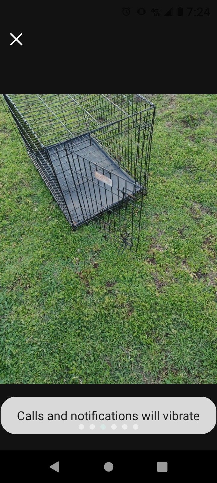 Dog Case