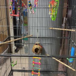 Bird Cage Big
