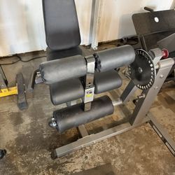 Leg Extension/ham Curl