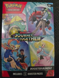 Pokémon Journey together