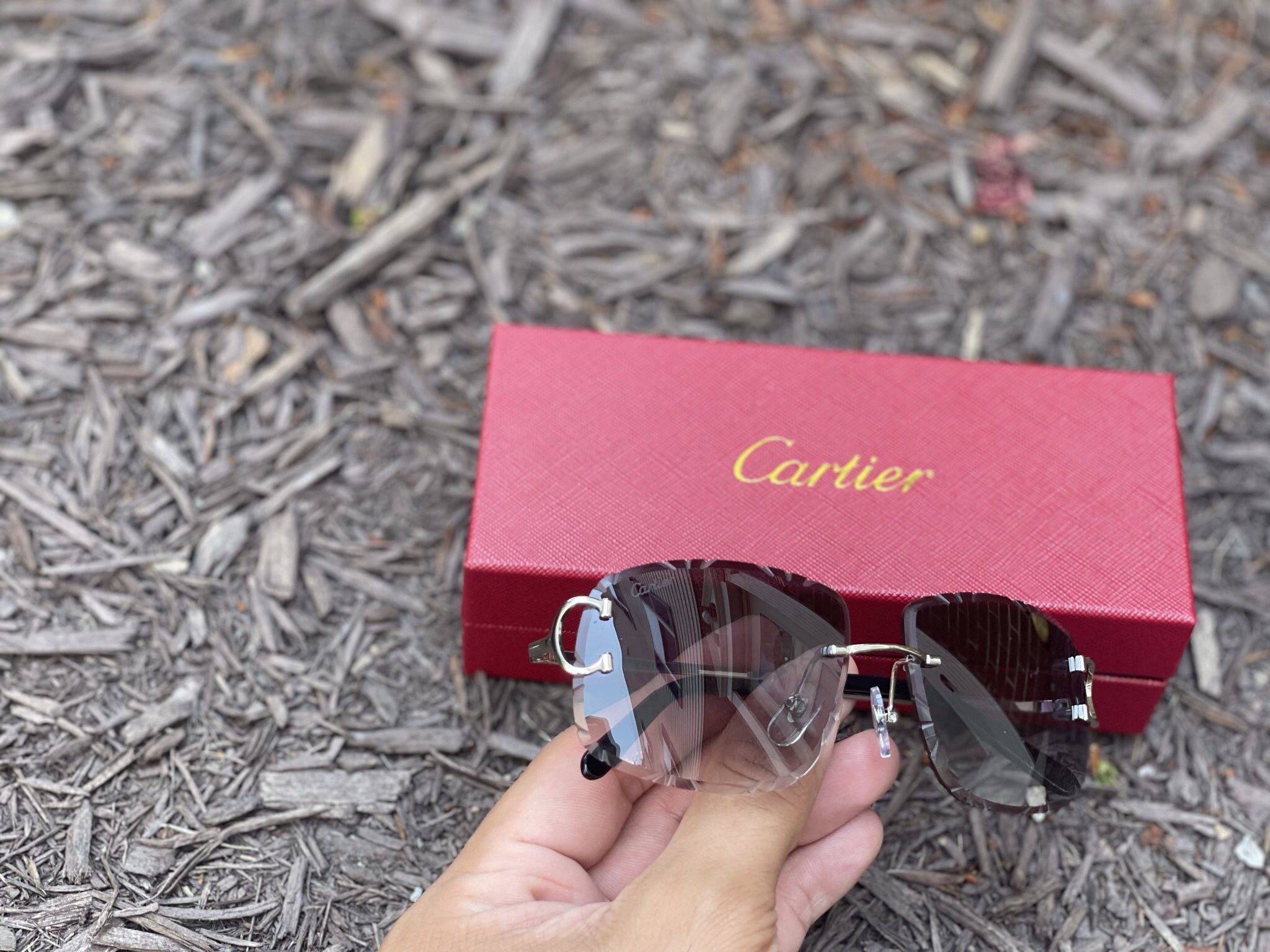 Cartier Glasses 