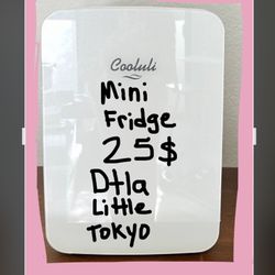 MAKEUP OR 6 Soda Can / PERSONAL MINI FRIDGE
