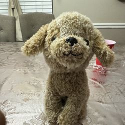 Stuffed Puppy 