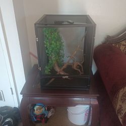chameleon cage 