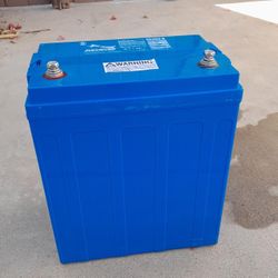 Maintenance Free AGM Batteries ($100 each)