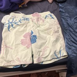 Nike Skateboarding Shorts
