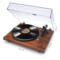ANGELS HORN Vinyl Record Player Turntable