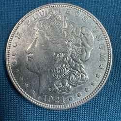 1921 D Morgans (and 1 S)