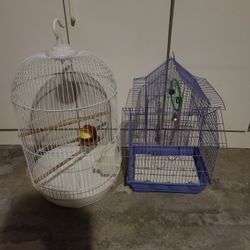 Bird Cages