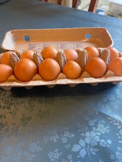 Organic fresh eggs!