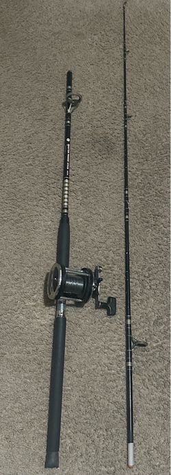 Fishing rod and reel