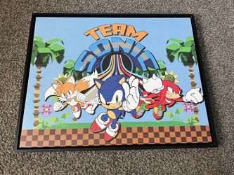 Sonic And Friends Canvas 