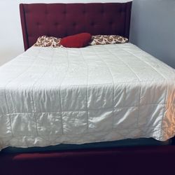 Queen Bed Marrón  Matrress Brand  Purple $450(obo)