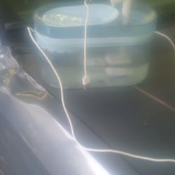 Cat Water Fountain 