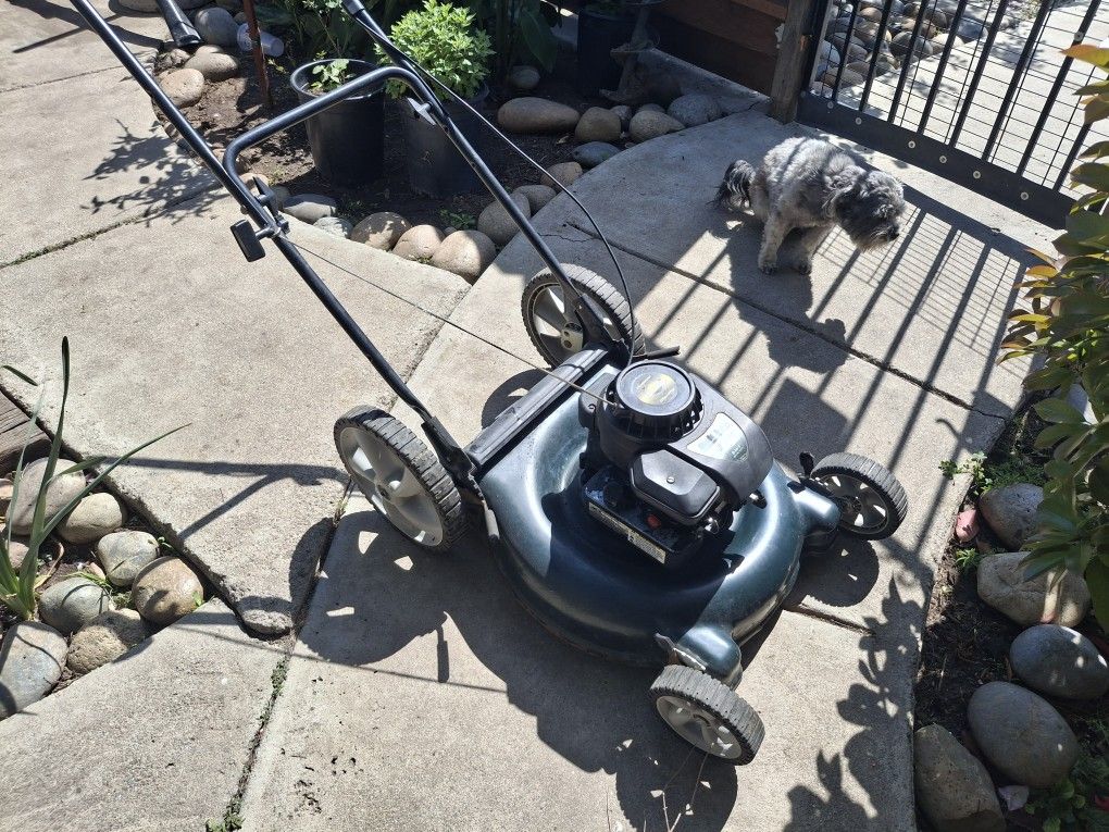 Lawnmower Bolen Recently Serviced
