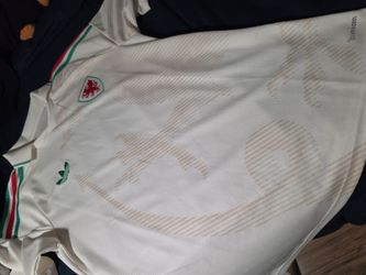 Wales Jersey, M, Fan