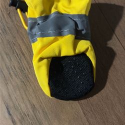Rain Boots For Small Dog