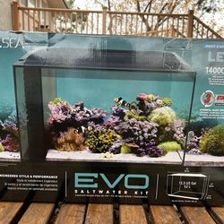 Complete Saltwater Tank And Setup
