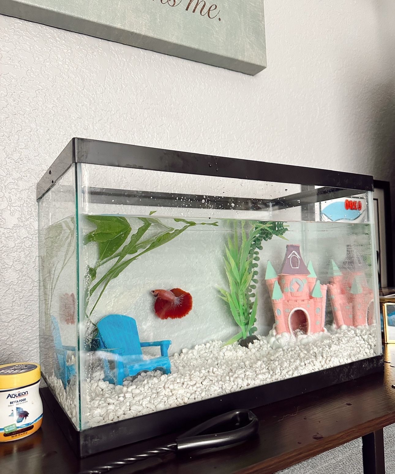 Fish Tank