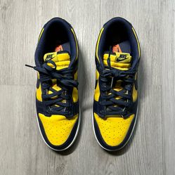 Nike Dunk Low Michigan 2021