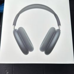 Apple Airpod Max $550